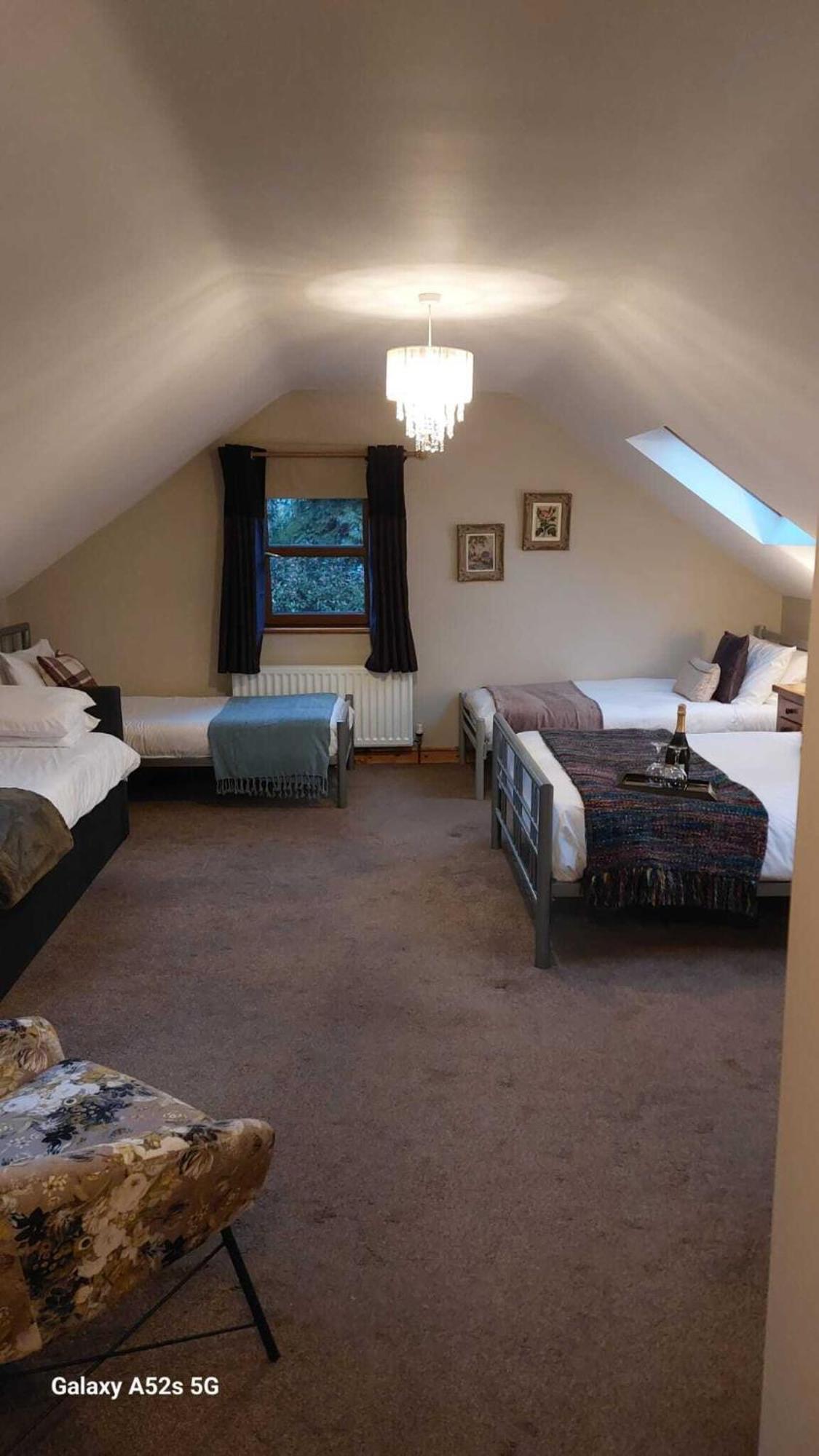 Dunhill Cottage B&B Hillsborough Cameră foto